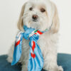 RYP Vow Scarf 021
